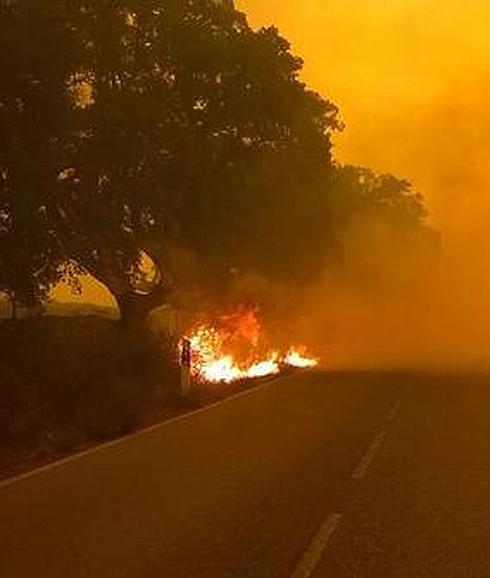 Avance del fuego este mediodía:: @AT_Brif - VÍDEO: AGENCIAS