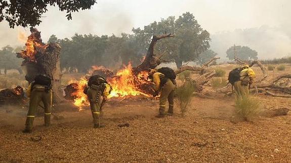 Miembros de BRIF Pino sofocando el fuego.