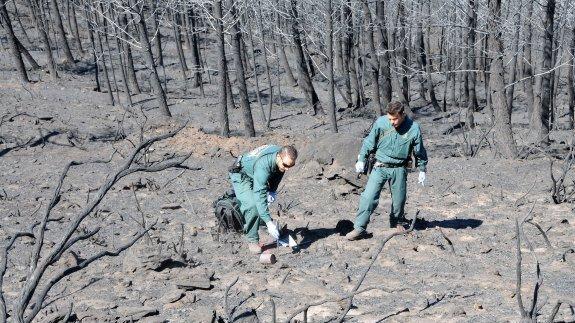 Un niño y su padre resultan quemados con las brasas del incendio de la Sierra de Gata