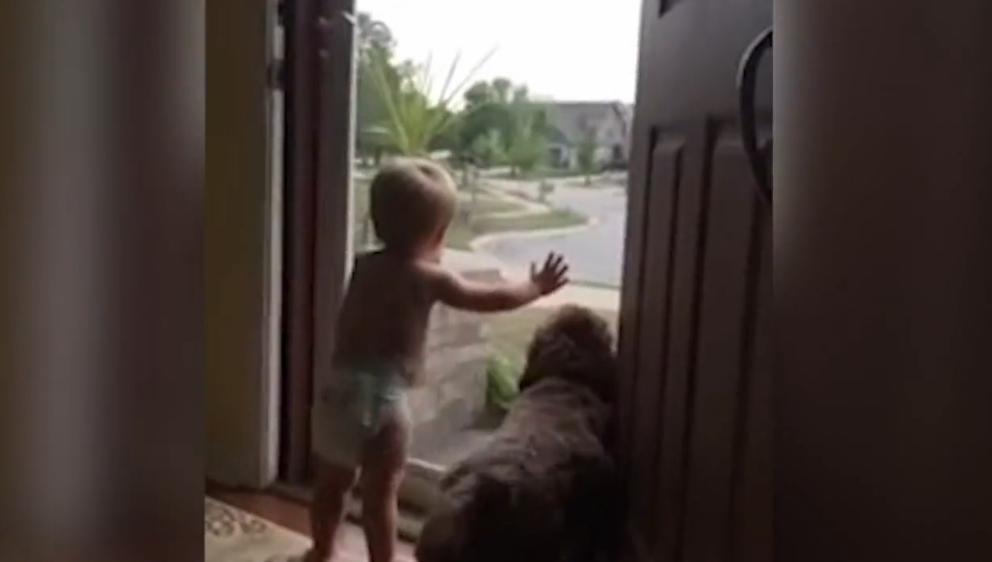 Un bebé y su perro reciben entusiasmados al padre de familia