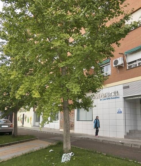 Bolsas de basura en el jardín y en los árboles de las traseras de la avenida Godofredo Ortega Muñoz. :: PAKOPÍ