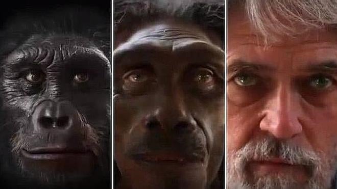 Del mono al humano: seis millones de años de evolución en un minuto