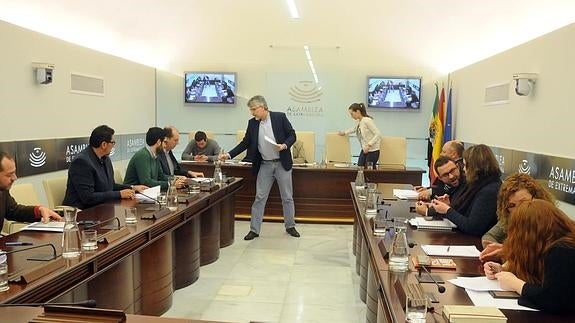 La Comisión no permanente de investigación sobre las actuaciones de la Junta de Extremadura relacionadas con la gestión en Acorex y con la intervención de Caja Rural se ha constituido de nuevo