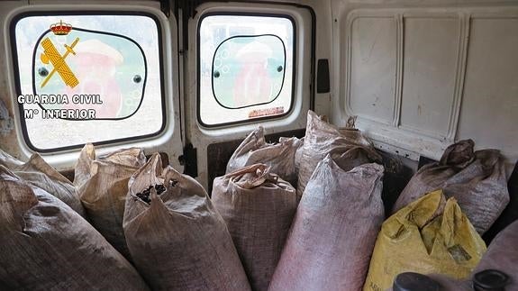 Seis personas, sorprendidas mientras robaban  una tonelada de aceitunas en Monterrubio