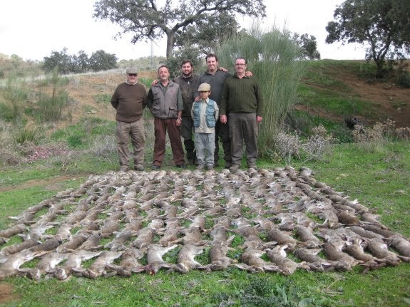 Cazadores y conejos en la finca Los quintos de San Martín, de Valencia de las Torres. :: carlos zahínos