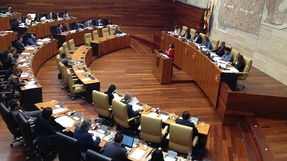 Pleno en la Asambla de Extremadura:: 