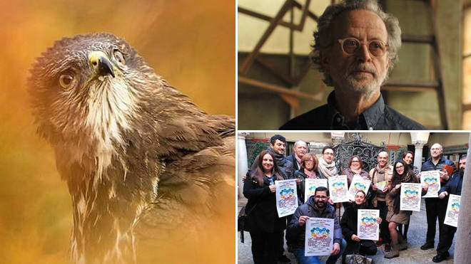 De las aves en Monfragüe al glamour del cine en Cáceres