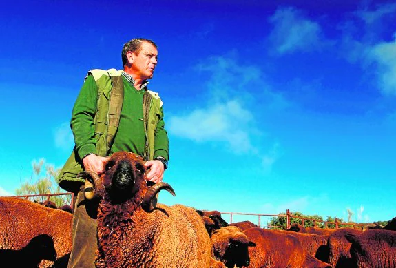 Miguel Cabello es uno de los ganaderos extremeños que apuestan fuerte por las razas autóctonas. Sus fincas se encuentran en la comarca de la Siberia :: CEDIDAS