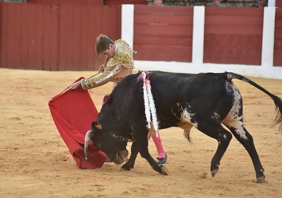 Alejandro Mora con uno de los ejemplares de Carmen Valiente. :: PALMA