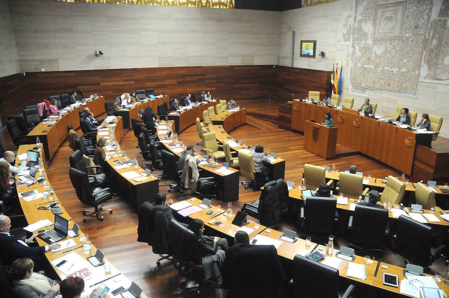 Las medidas contra la exclusión social y el incendio de Gata centran el pleno de la Asamblea