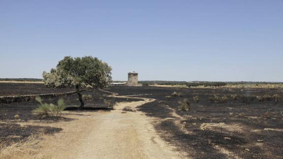 Nuevos medios se suman a la extinción del incendio, que se mantiene en nivel 1