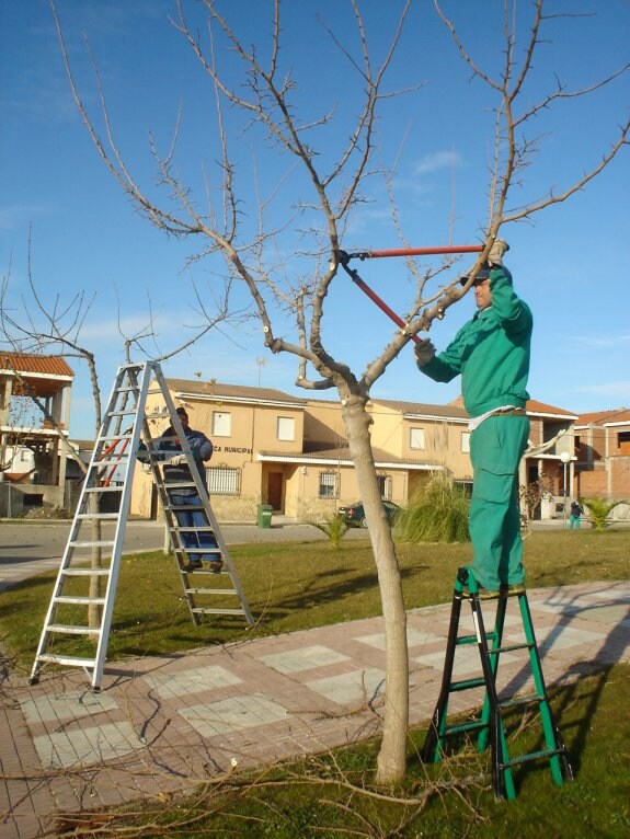 Operarios de jardinería trabajando en Saucedilla. :: e.g.r.