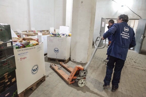 Voluntarios del Banco de Alimentos de Cáceres en el silo de Aldea Moret, sede de la organización. :: jorge rey