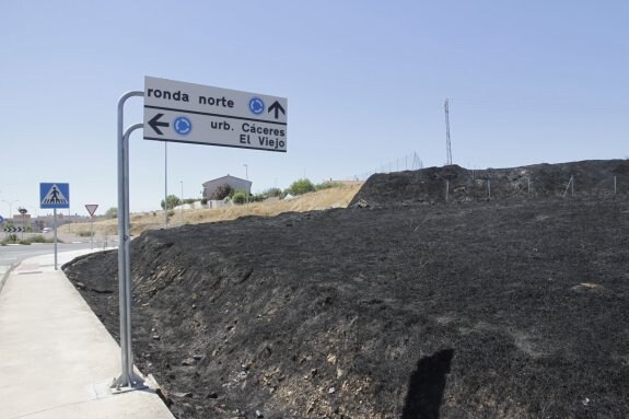 Parcela quemada la madrugada del martes. :: armando méndez