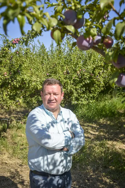 Pedro Pablo en una de las fincas de frutales del pueblo que emplean a muchos vecinos. :: j. v. arnelas