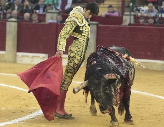 Perera en la faena a su primer toro, de la ganadería La Palmosilla. :: EFE