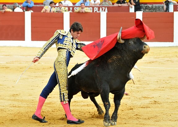 El diestro francés Sebastián Castella, durante una de sus faenas en Plasencia en la corrida del 13 de junio de 2015. :: david palma