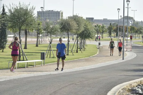 Runners corriendo por el parque de la Margen Derecha de Badajoz. :: hoy