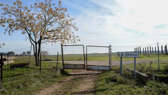 El acceso a la finca municipal de Las Arenosas.