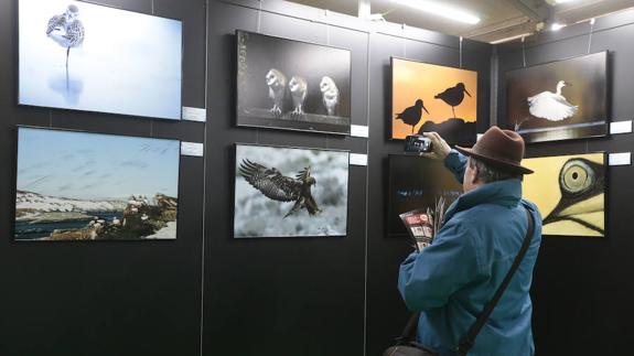 Un visitante fotografía una de las exposiciones. :: ANDY SOLÉ