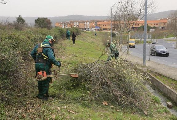 Comienza el desbroce para prevenir fuegos