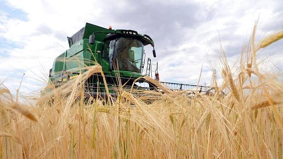 Asaja alerta de "un auténtico drama" en el campo si no llueve en breve