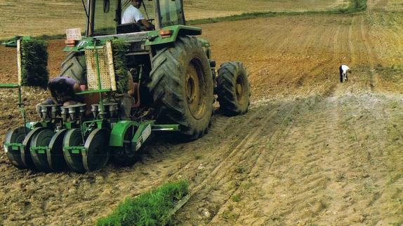 Un agricultor trabajando con un tractor en una finca de Extremadura.