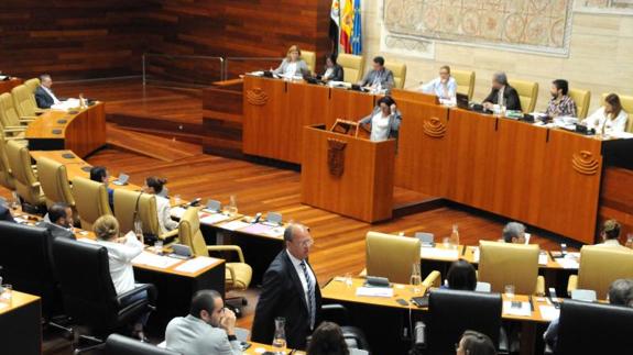 Imagen de la pleno en la Asamblea celebrado este jueves:: BRÍGIDO