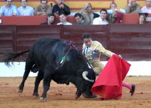 El torero Enrique Ponce trató con suavidad a su enemigo y lo fue somentiendo con maestría. / CASIMIRO MORENO