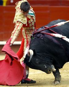 El novillero Miguel Tendero da un pase con la muleta. / EFE