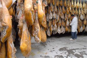 SOBRE EL TERRENO. Uno de los responsables de Montesano examina los jamones, que siguen un exigente proceso de curación en varias naves y bodegas.