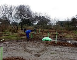 La Confederación del Guadiana halla junto a Mérida un pez en peligro de extinción
