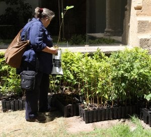 La Junta repartió en el San Francisco 5.000 plantones . ::
ARMANDO