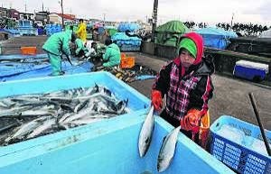 Kosuke, de 9 años, ayuda a su familia con la pesca del día en el puerto de Ohara. ::
E. KENNEDY BROWN / EFE