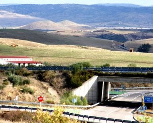 Tentudía proyecta un macropolígono agroalimentario con matadero