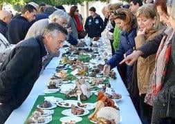 Pie Azul reúne más de 200 setas en su sexta exposición