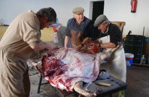 Matanza en una finca extremeña. ::                             HOY