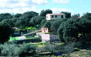 Viviendas levantadas de forma ilegal en la zona de la Vinosilla. ::                             PALMA