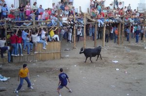 Imagen de la capea celebrada en Segura de León en 2004. ::                             HOY