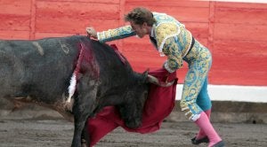 Un toro Lumbrero y un Escribano calígrafo