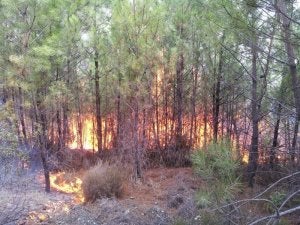 Controlados dos incendios en Torre de Don Miguel y en Jarandilla de la Vera