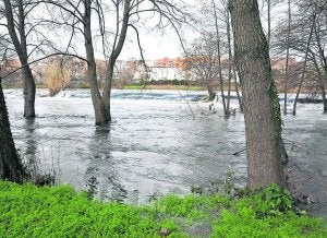 Aspecto del río Jerte desbordado, ayer a su paso por Plasencia. ::                             PALMA