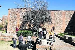 Participantes de una visita junto a la higuera centenaria. ::                             ARMANDO