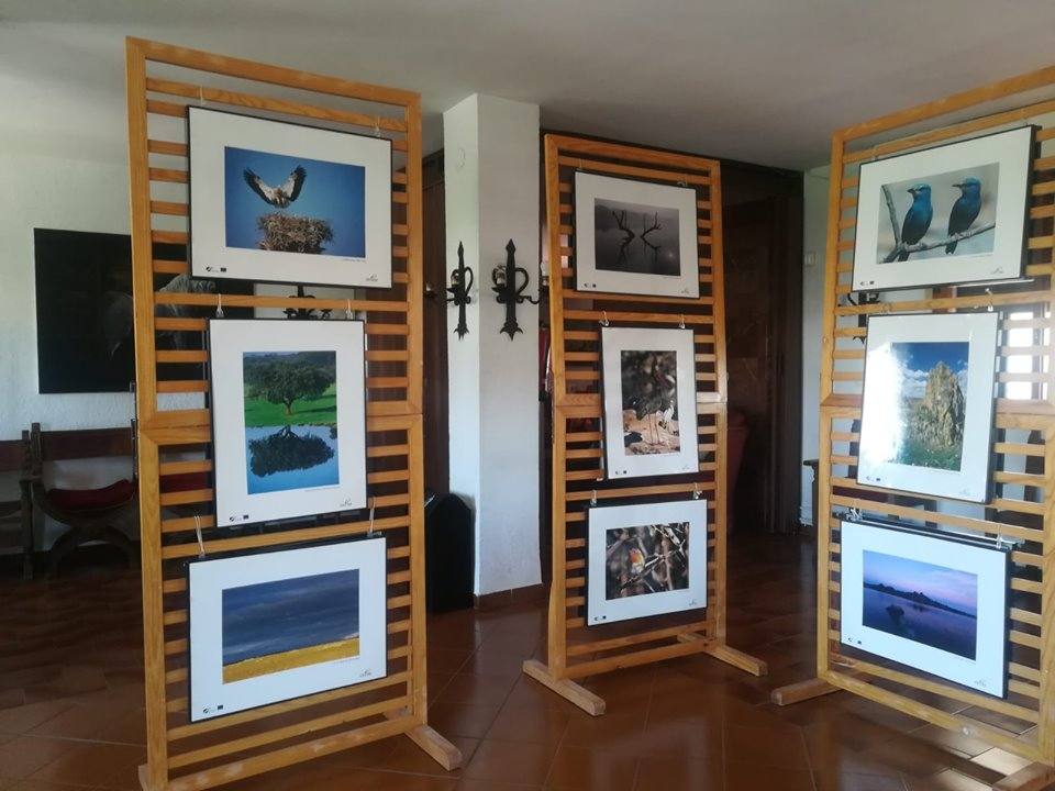 Algunas de las fotografías que ùeden contemplarse en la exposición 