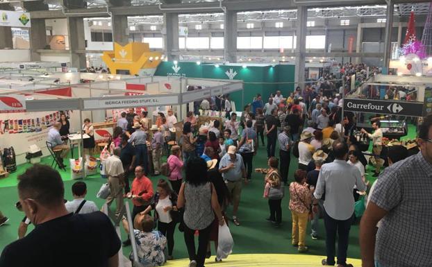 Stand comercial 
