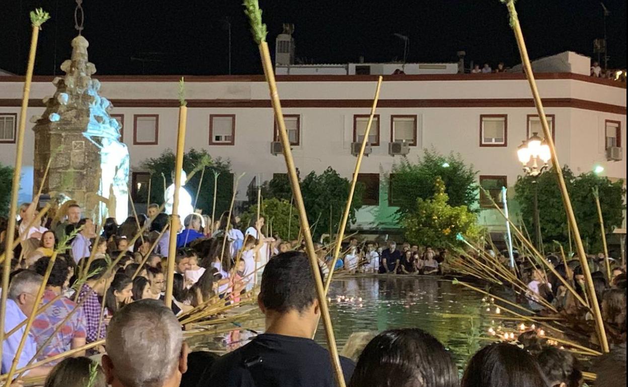 Mojá de varas en 2019 