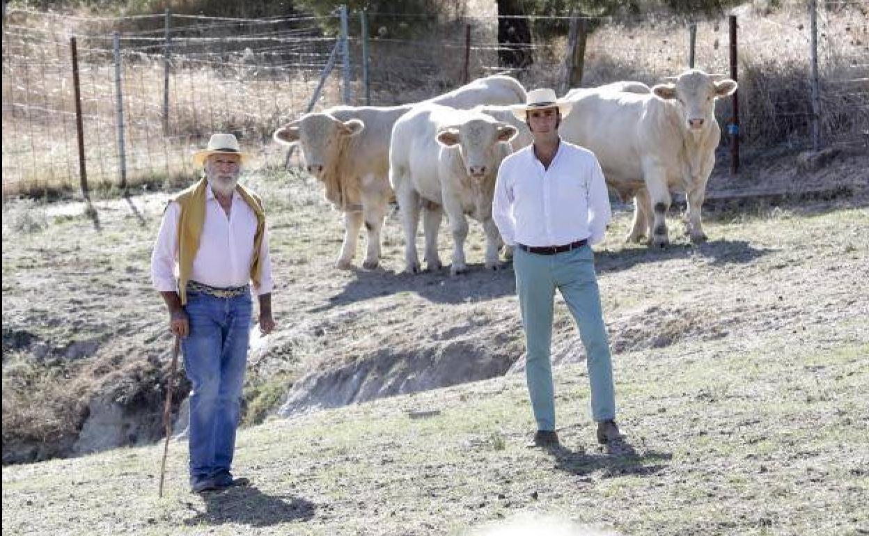Los Manzano en su explotación ganadera de Charoles en Casar de Cáceres