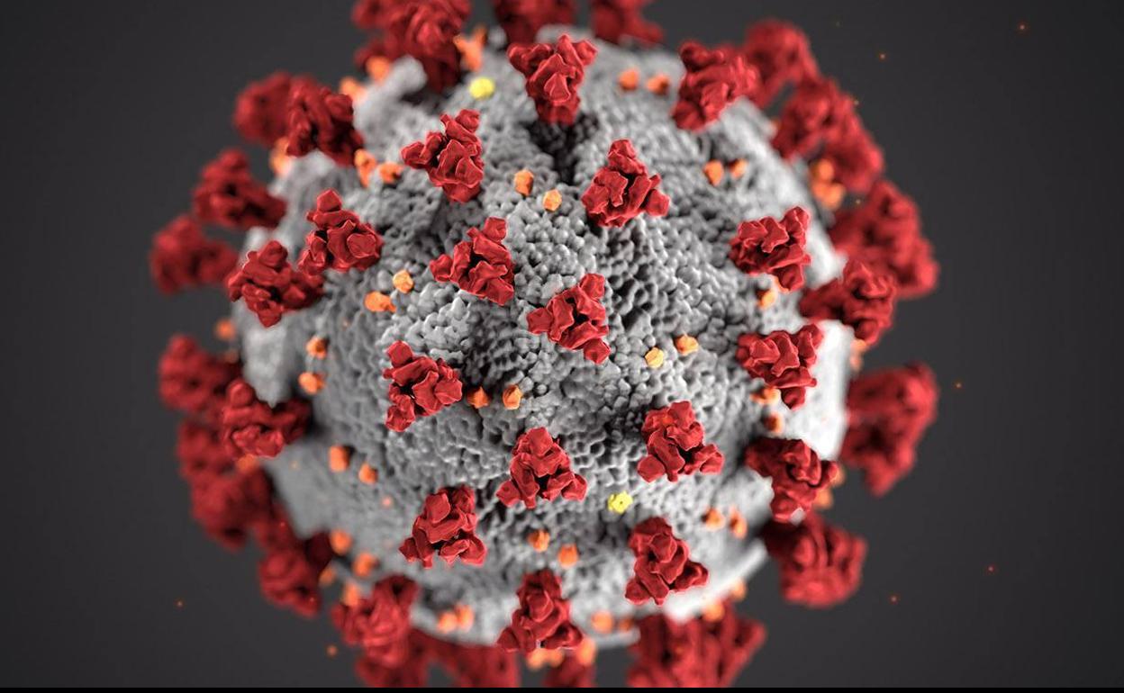 Diciembre comienza con un nuevo fallecimiento a causa del coronavirus, un hombre de 61 años