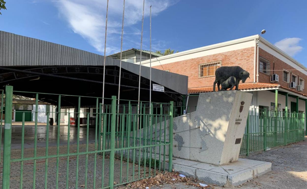 La Feria de Primavera acoge este sábado una subasta virtual de ganado merino con presencia de ganaderos