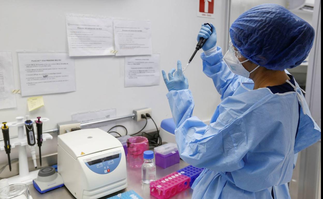 El número total de personas diagnosticadas con coronavirus baja hasta los 40